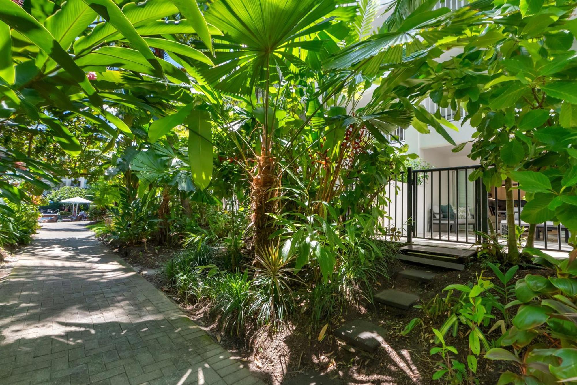 Elysium Private Apartments At Beach Club & Spa Palm Cove Exterior foto
